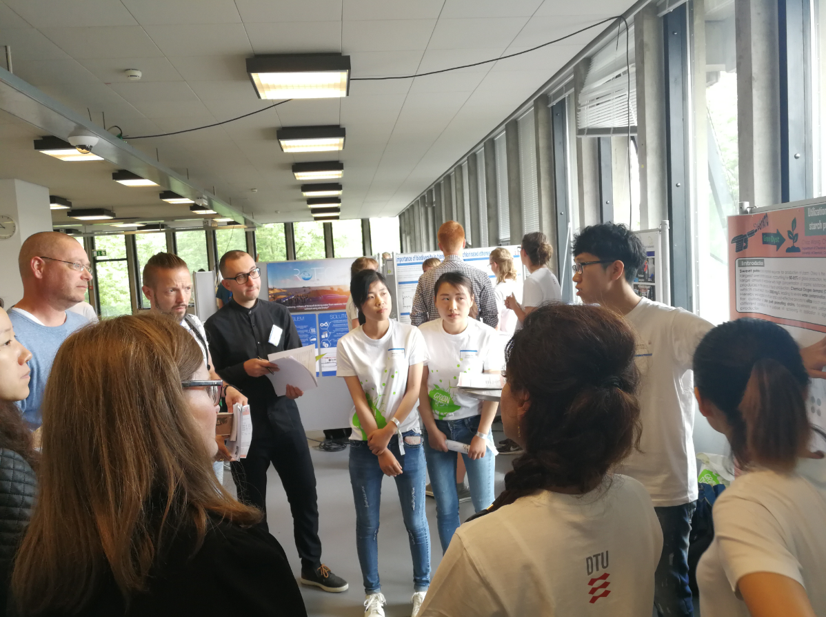 IPE seminar