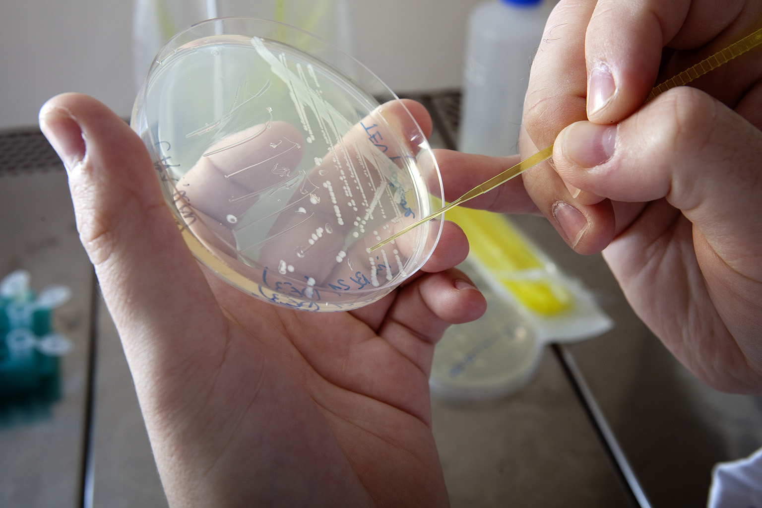 BIOENG. Foto: Klaus Holsting