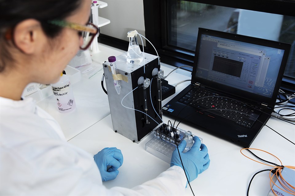 Ana Carolina Oliveira Fernandes working with microreactors which are powerful tools for the selection of new enzymes or whole cell catalysts. Photo by Thorkild Christensen.