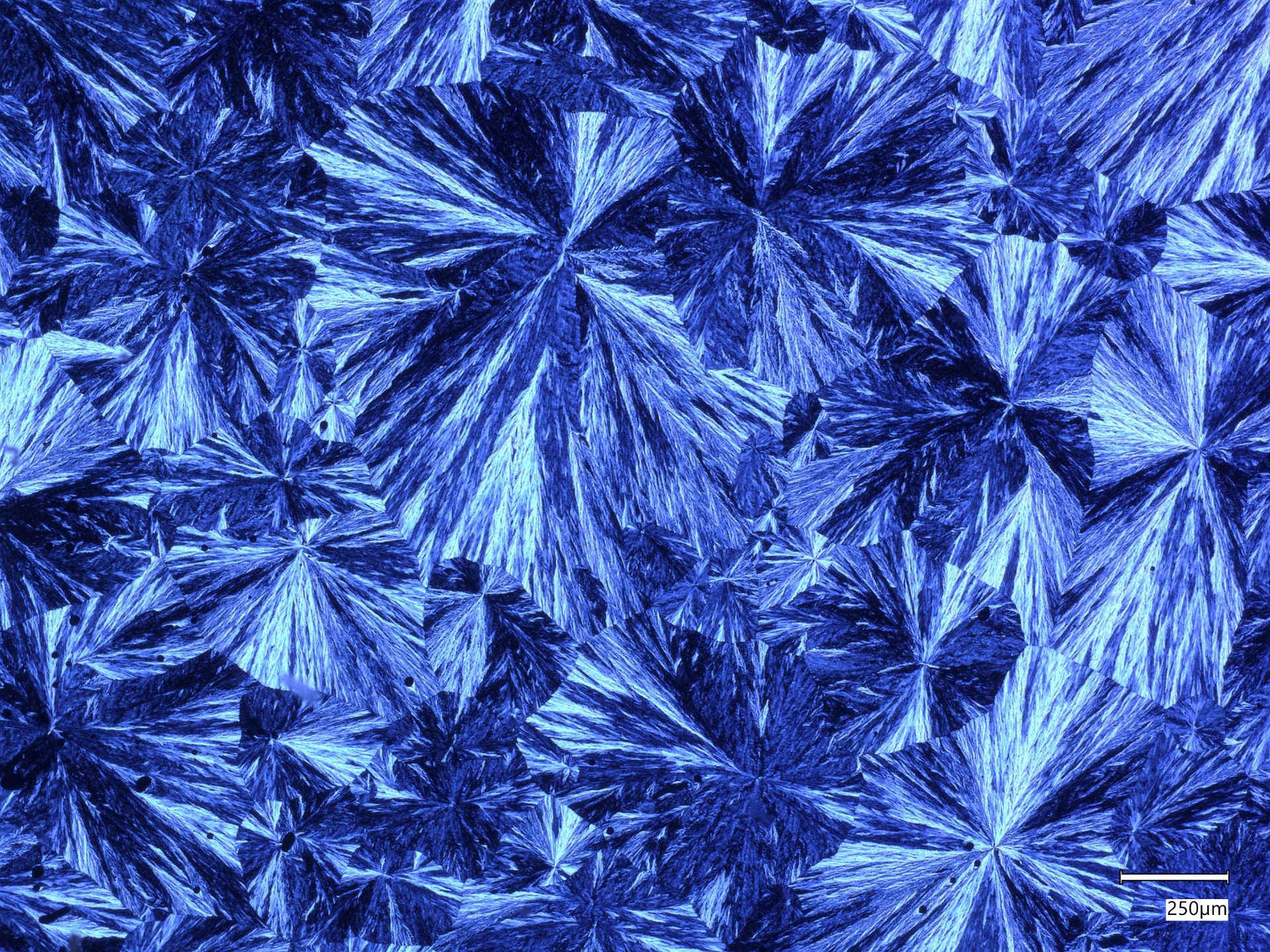 Bio-based liquid crystalline polymer
