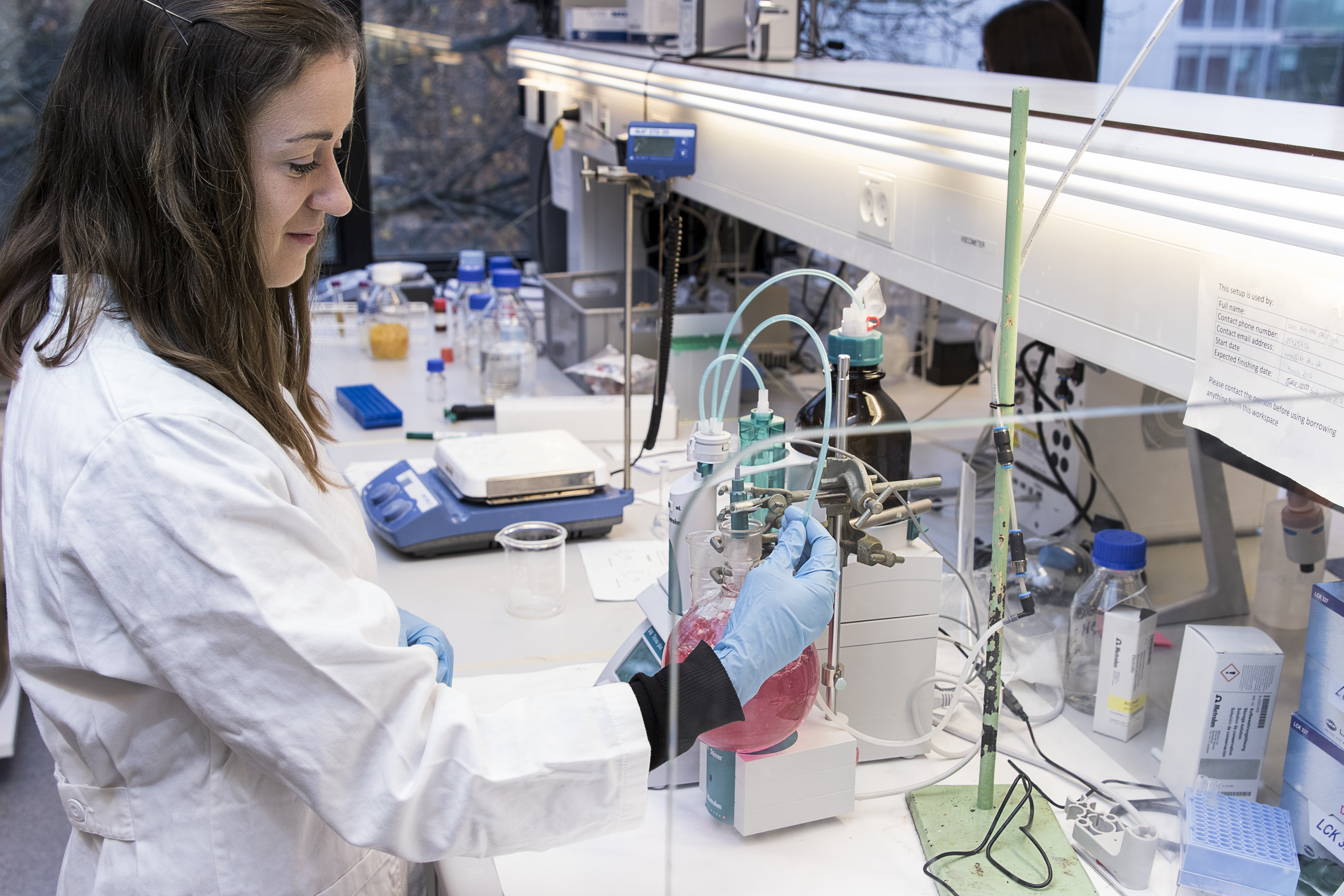 Woman in lab working 