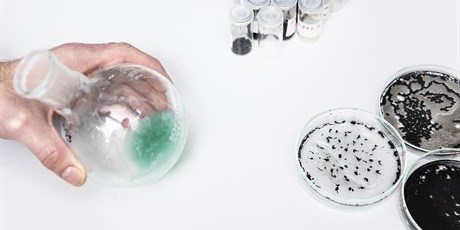 Polymers and particles. Synthesis of polymers (flask) and surface modification of particles (small vials) can be used to control agglomeration of particles (petri dish). Photo: Thorkild Christensen